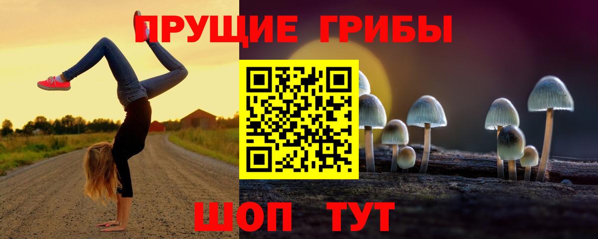 Белореченск  дарнет шоп  Вход с VPN  Псилоцибиновые грибы Cubensis 